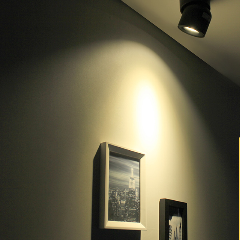 Plafonnier LED Moderne AuroraEdge à Montage Affleurant Noir et Blanc