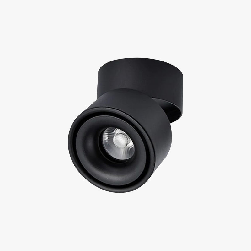 Circular Flush Mount Ceiling Spotlight With Adjustable Head