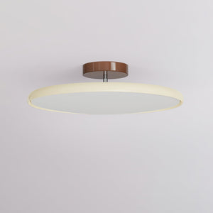 Fyne Plafonnier Orientable Design Moderne - Neutralighting